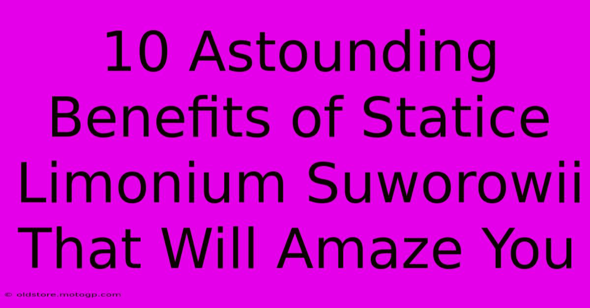 10 Astounding Benefits Of Statice Limonium Suworowii That Will Amaze You