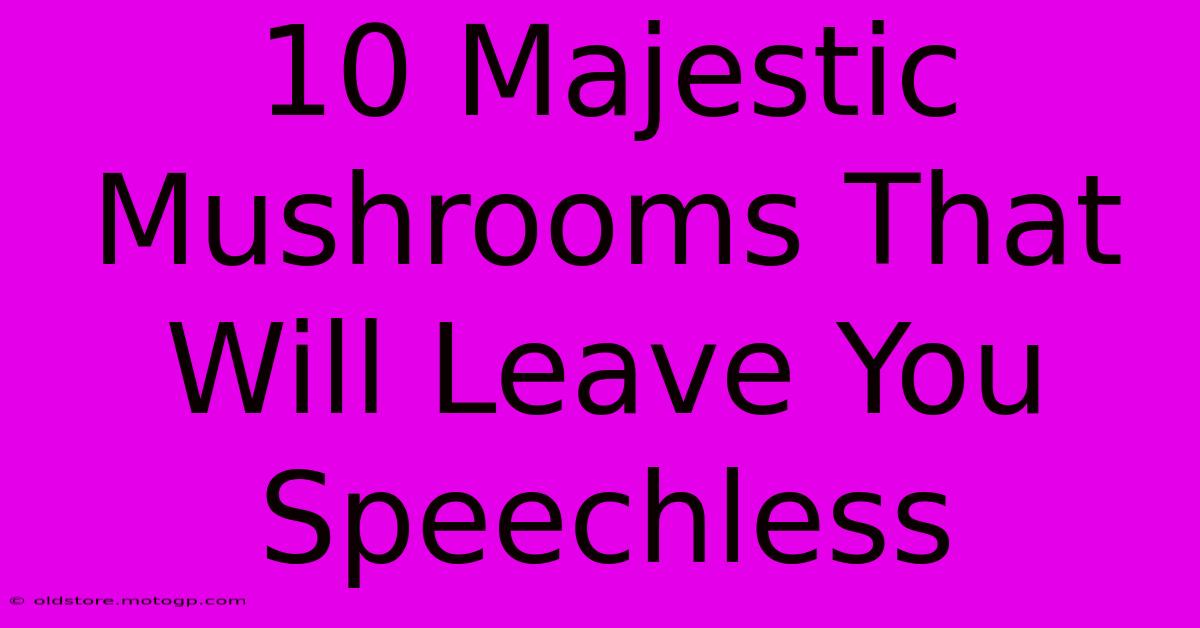 10 Majestic Mushrooms That Will Leave You Speechless