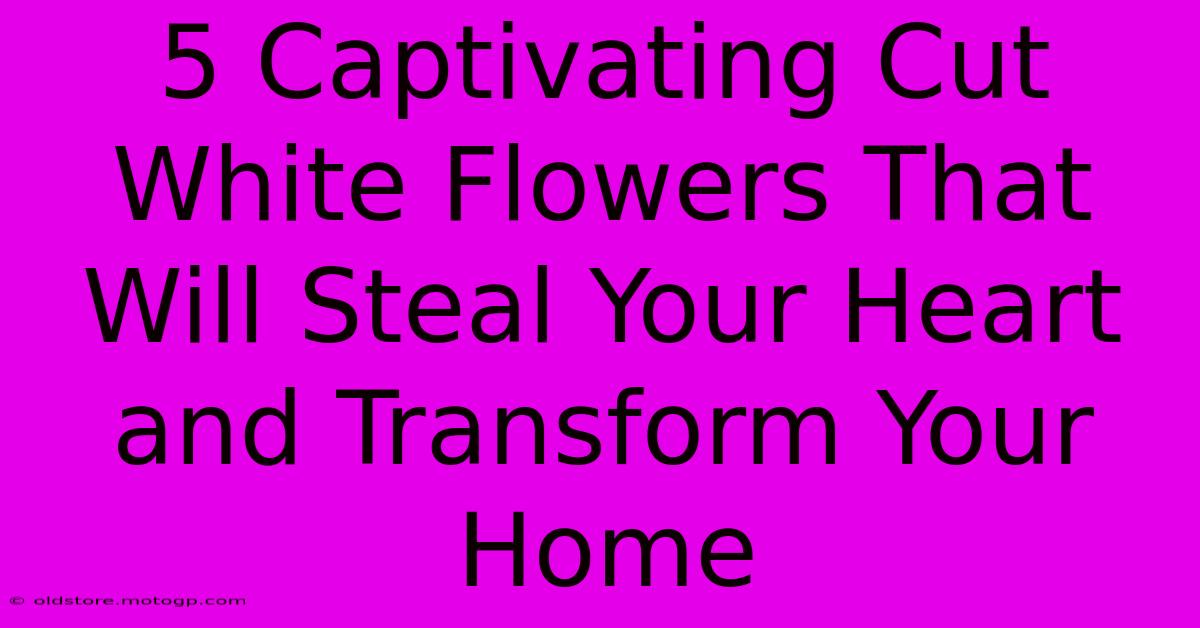 5 Captivating Cut White Flowers That Will Steal Your Heart And Transform Your Home