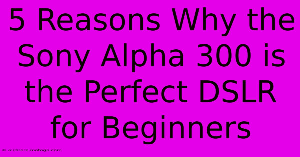 5 Reasons Why The Sony Alpha 300 Is The Perfect DSLR For Beginners