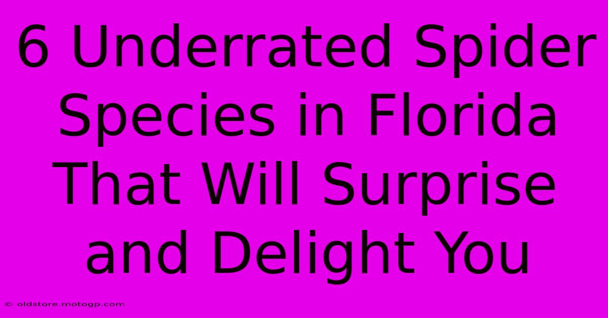 6 Underrated Spider Species In Florida That Will Surprise And Delight You