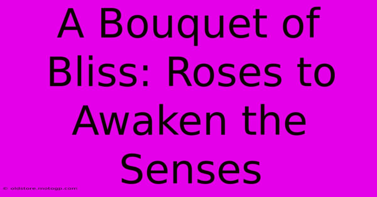 A Bouquet Of Bliss: Roses To Awaken The Senses