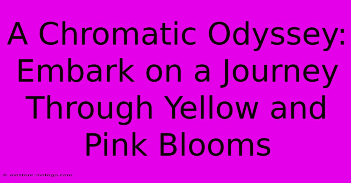 A Chromatic Odyssey: Embark On A Journey Through Yellow And Pink Blooms