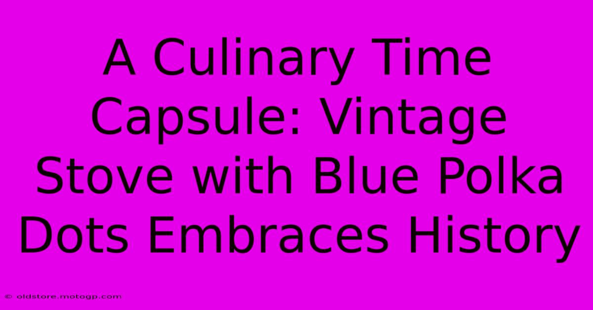 A Culinary Time Capsule: Vintage Stove With Blue Polka Dots Embraces History