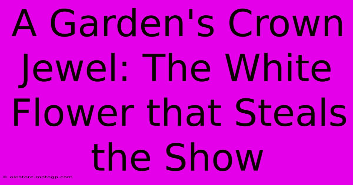 A Garden's Crown Jewel: The White Flower That Steals The Show