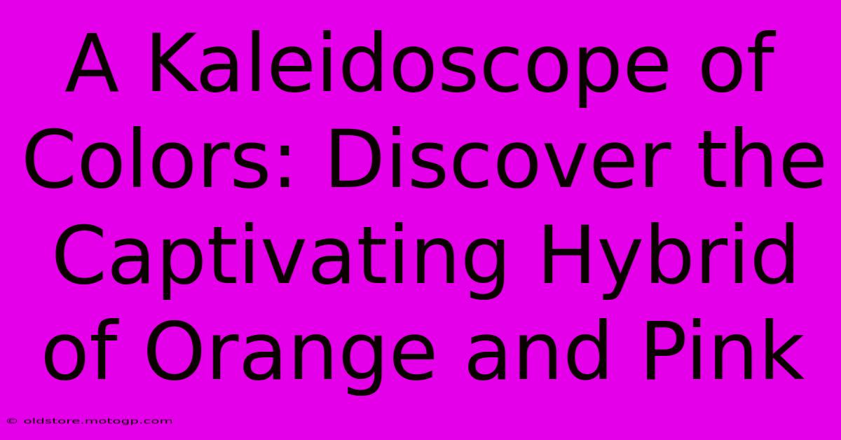 A Kaleidoscope Of Colors: Discover The Captivating Hybrid Of Orange And Pink