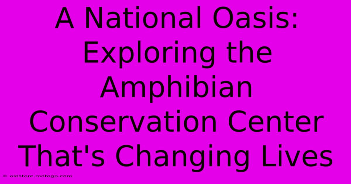 A National Oasis: Exploring The Amphibian Conservation Center That's Changing Lives