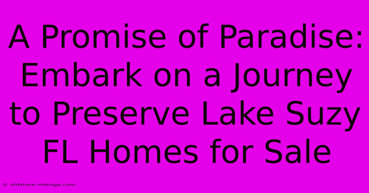 A Promise Of Paradise: Embark On A Journey To Preserve Lake Suzy FL Homes For Sale