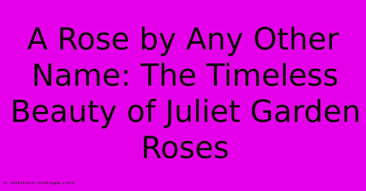 A Rose By Any Other Name: The Timeless Beauty Of Juliet Garden Roses