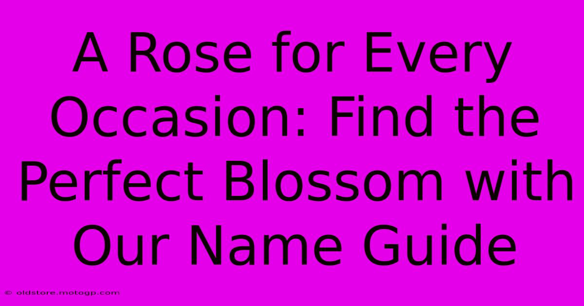 A Rose For Every Occasion: Find The Perfect Blossom With Our Name Guide