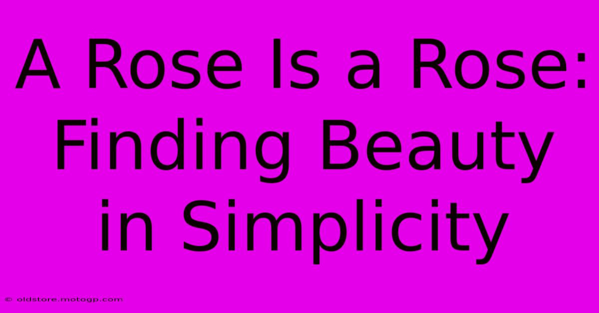 A Rose Is A Rose: Finding Beauty In Simplicity