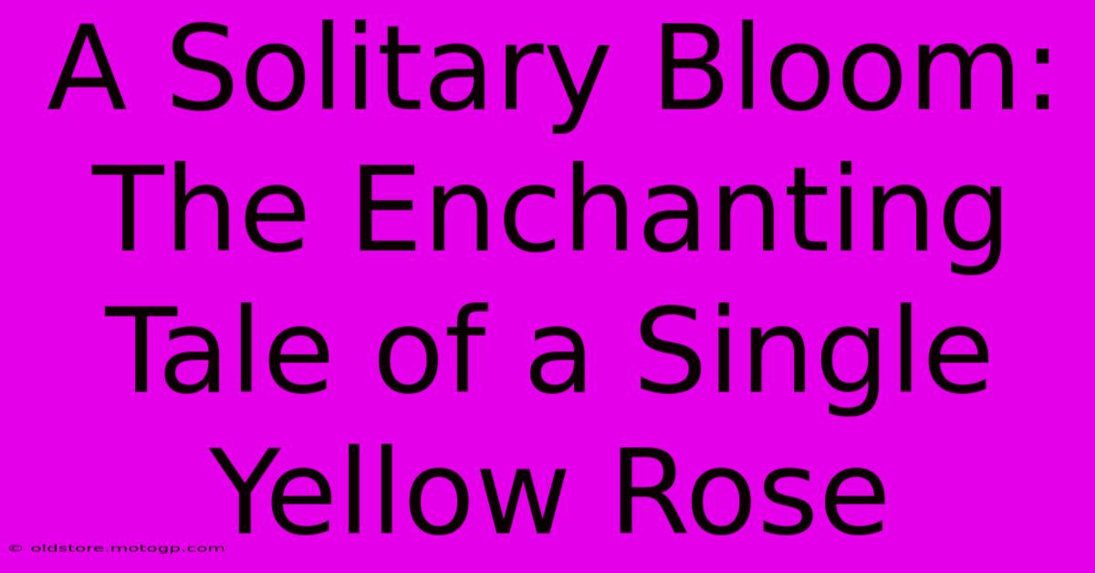 A Solitary Bloom: The Enchanting Tale Of A Single Yellow Rose