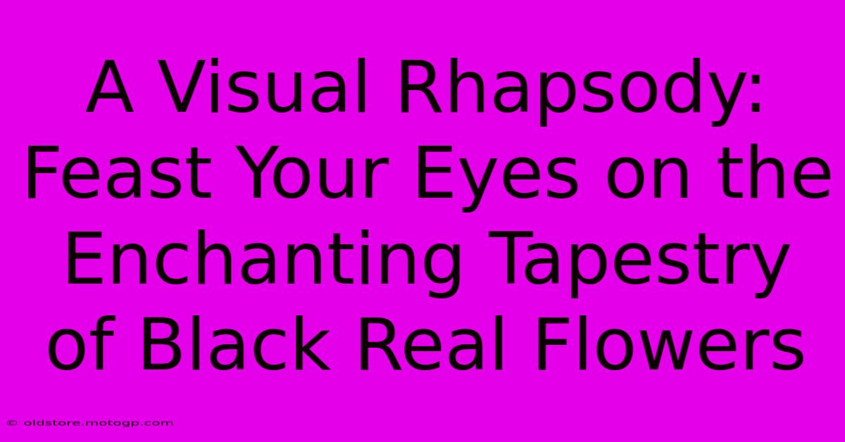 A Visual Rhapsody: Feast Your Eyes On The Enchanting Tapestry Of Black Real Flowers