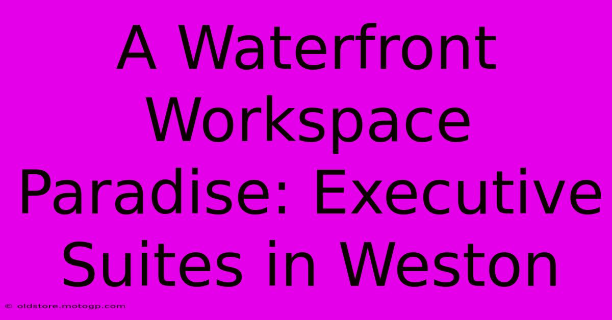 A Waterfront Workspace Paradise: Executive Suites In Weston