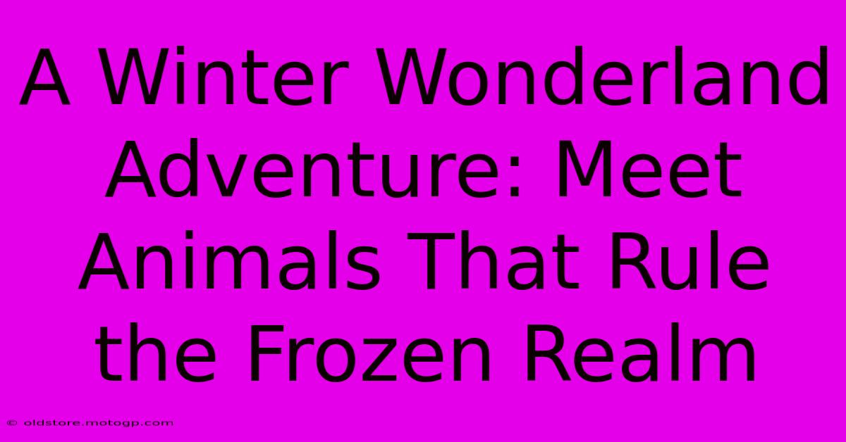 A Winter Wonderland Adventure: Meet Animals That Rule The Frozen Realm