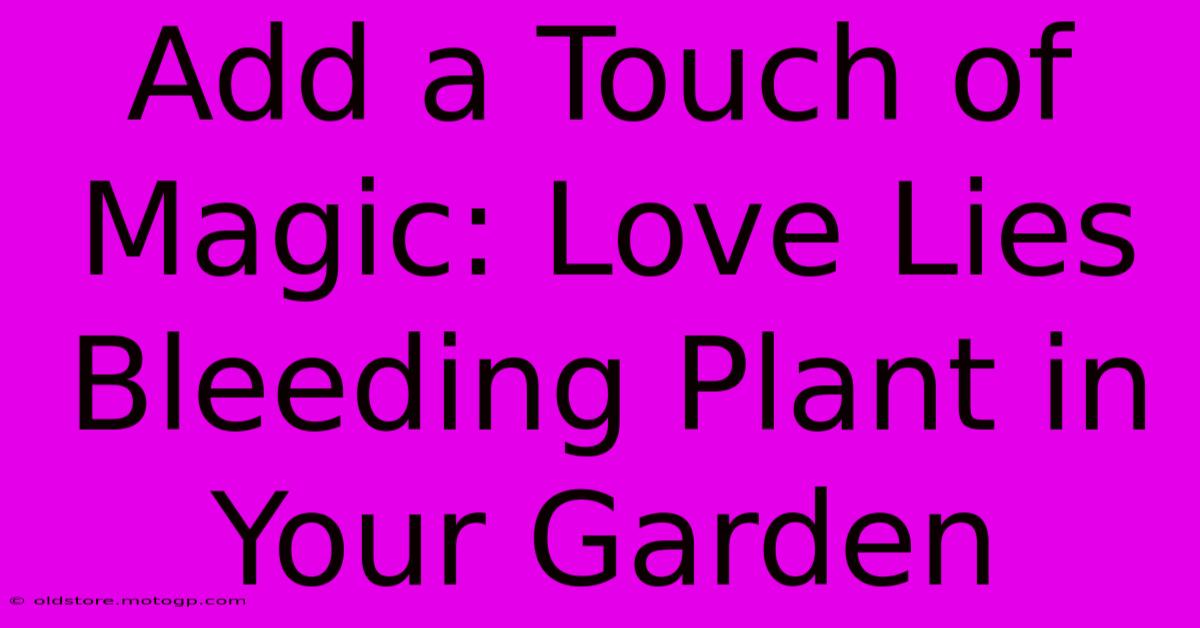 Add A Touch Of Magic: Love Lies Bleeding Plant In Your Garden