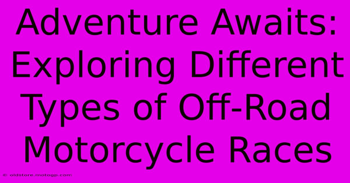 Adventure Awaits: Exploring Different Types Of Off-Road Motorcycle Races