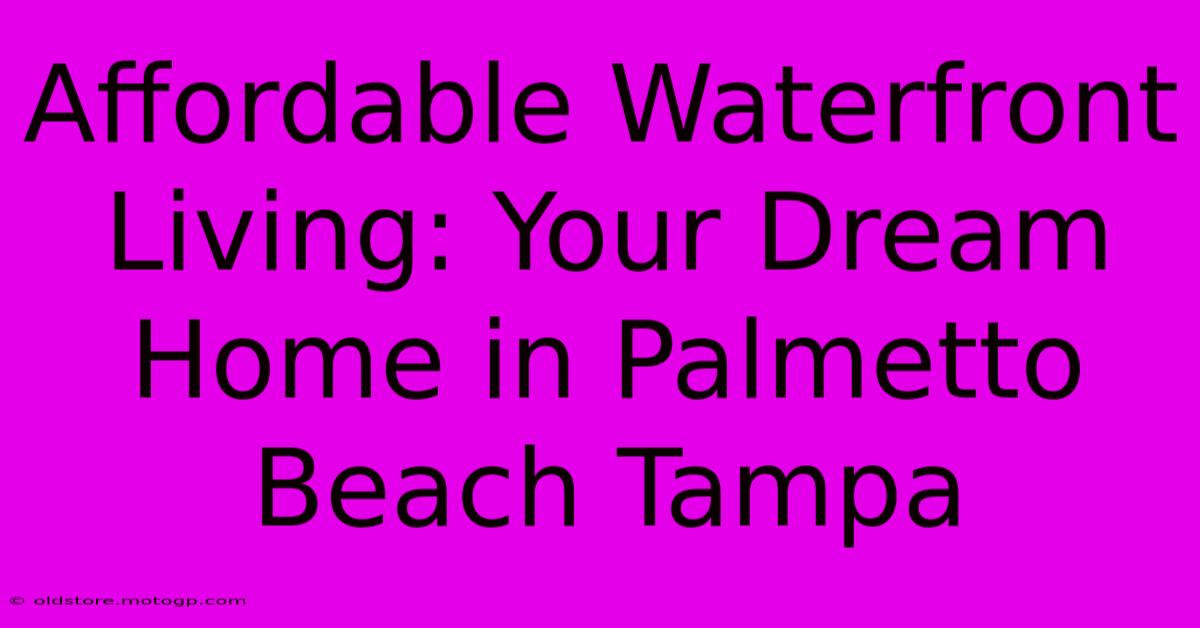 Affordable Waterfront Living: Your Dream Home In Palmetto Beach Tampa