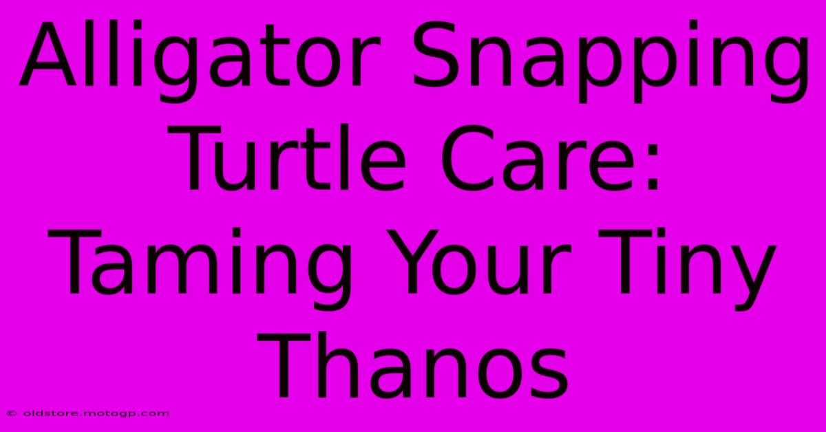 Alligator Snapping Turtle Care: Taming Your Tiny Thanos