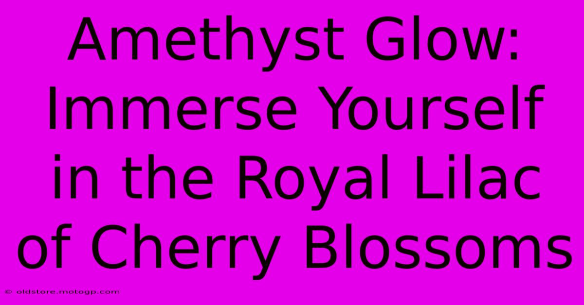 Amethyst Glow: Immerse Yourself In The Royal Lilac Of Cherry Blossoms