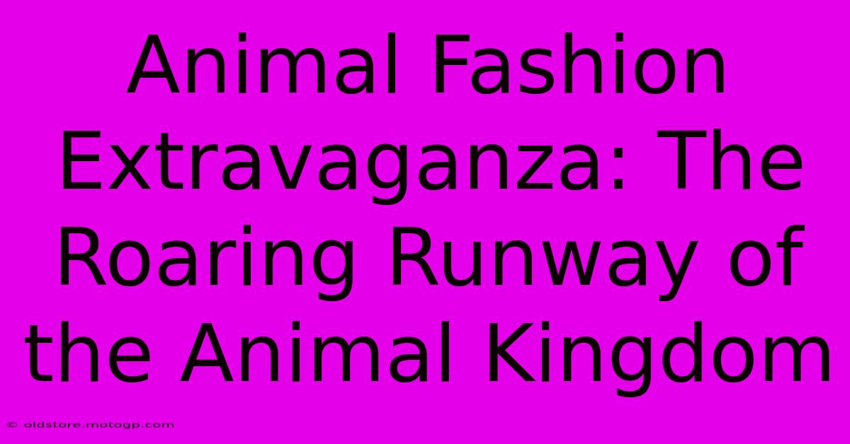 Animal Fashion Extravaganza: The Roaring Runway Of The Animal Kingdom