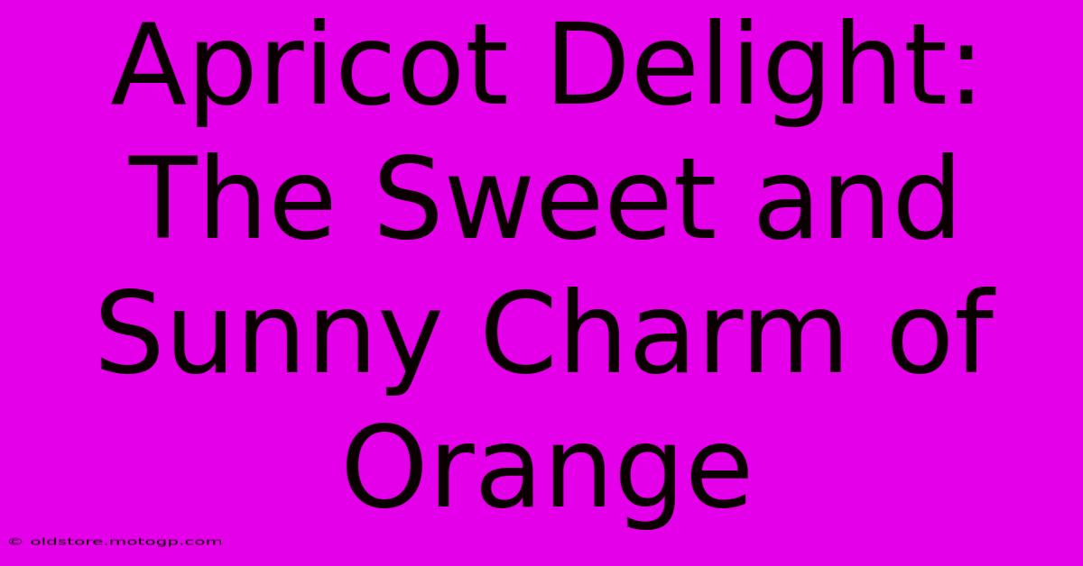 Apricot Delight: The Sweet And Sunny Charm Of Orange