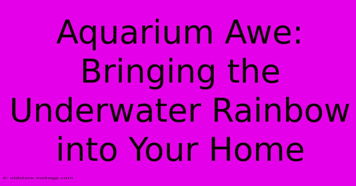 Aquarium Awe: Bringing The Underwater Rainbow Into Your Home