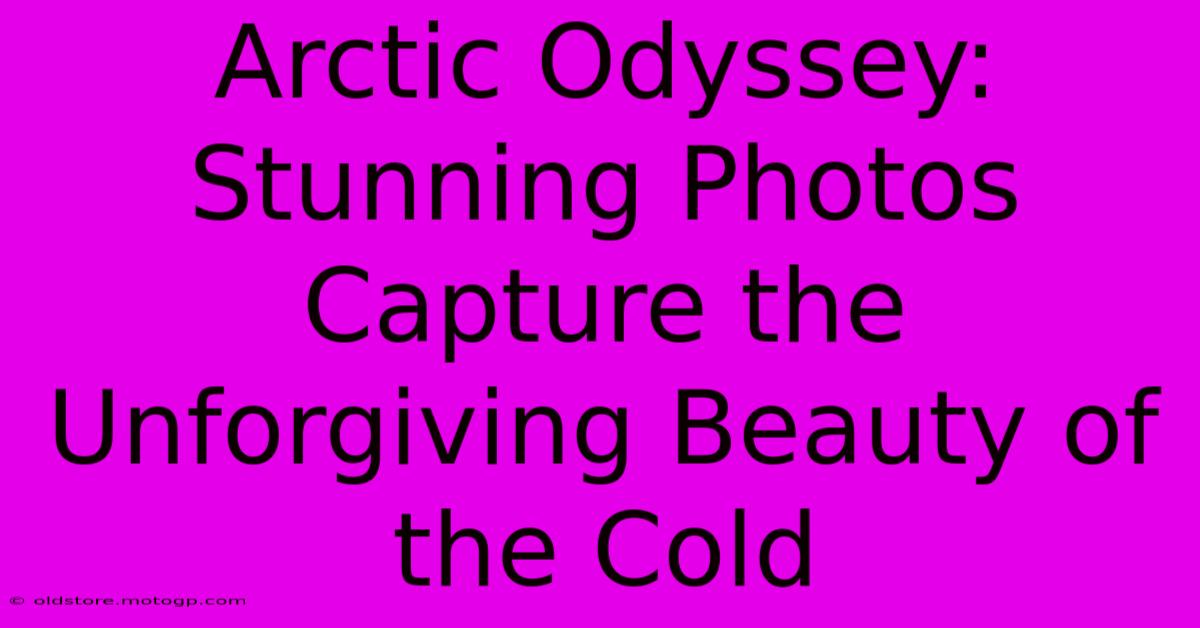 Arctic Odyssey: Stunning Photos Capture The Unforgiving Beauty Of The Cold