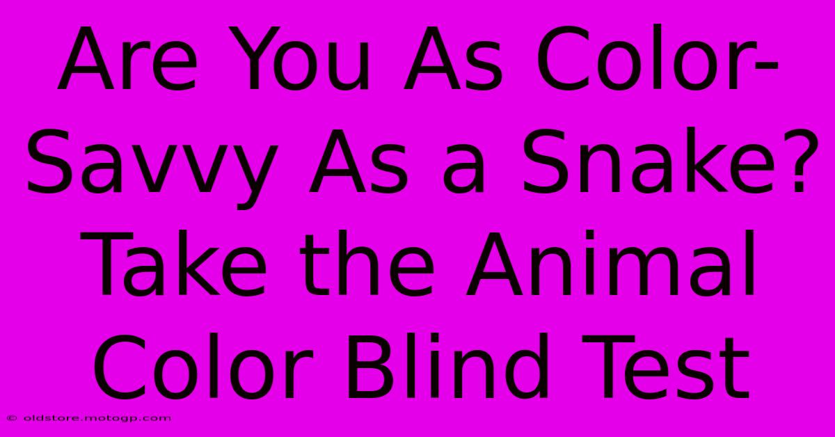 Are You As Color-Savvy As A Snake? Take The Animal Color Blind Test