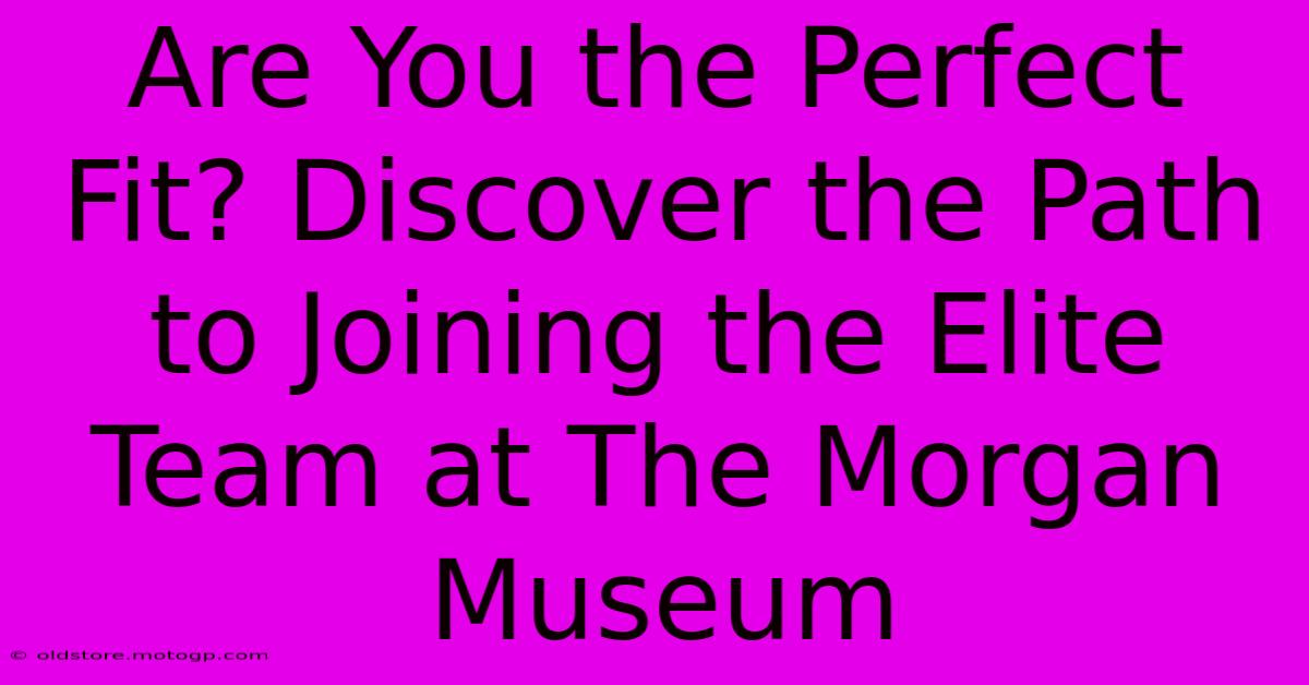 Are You The Perfect Fit? Discover The Path To Joining The Elite Team At The Morgan Museum