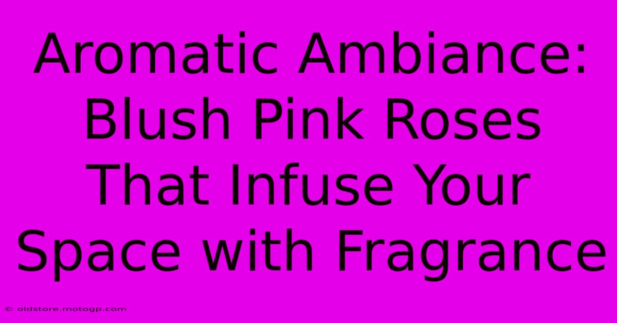 Aromatic Ambiance: Blush Pink Roses That Infuse Your Space With Fragrance