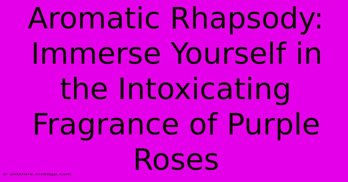 Aromatic Rhapsody: Immerse Yourself In The Intoxicating Fragrance Of Purple Roses