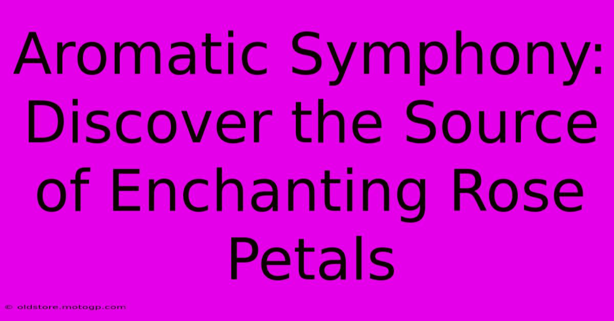 Aromatic Symphony: Discover The Source Of Enchanting Rose Petals