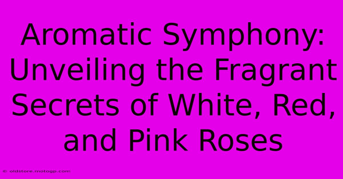 Aromatic Symphony: Unveiling The Fragrant Secrets Of White, Red, And Pink Roses