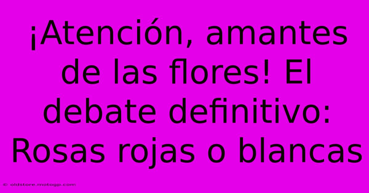 ¡Atención, Amantes De Las Flores! El Debate Definitivo: Rosas Rojas O Blancas