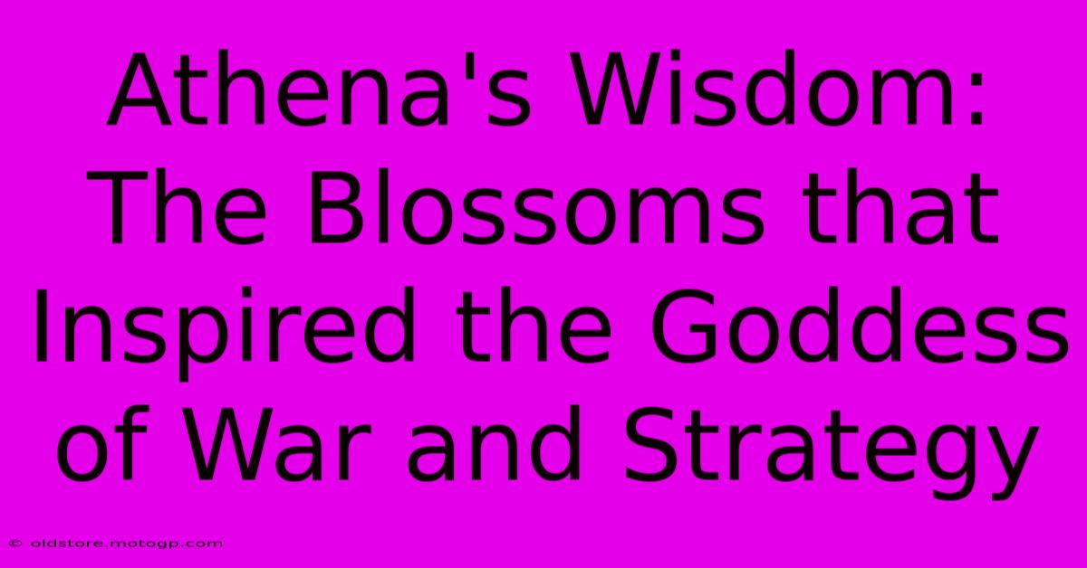 Athena's Wisdom: The Blossoms That Inspired The Goddess Of War And Strategy