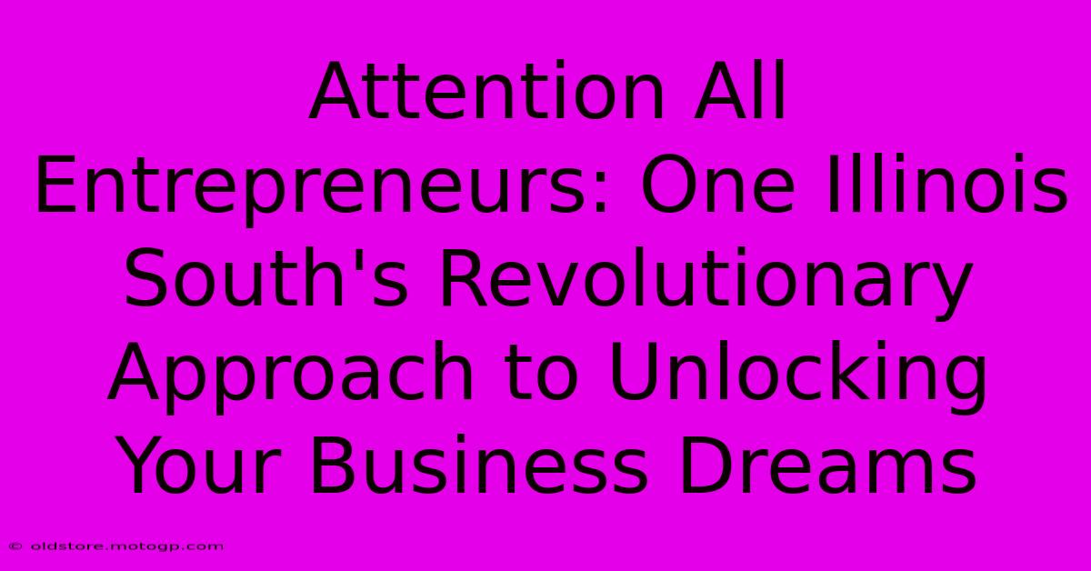 Attention All Entrepreneurs: One Illinois South's Revolutionary Approach To Unlocking Your Business Dreams