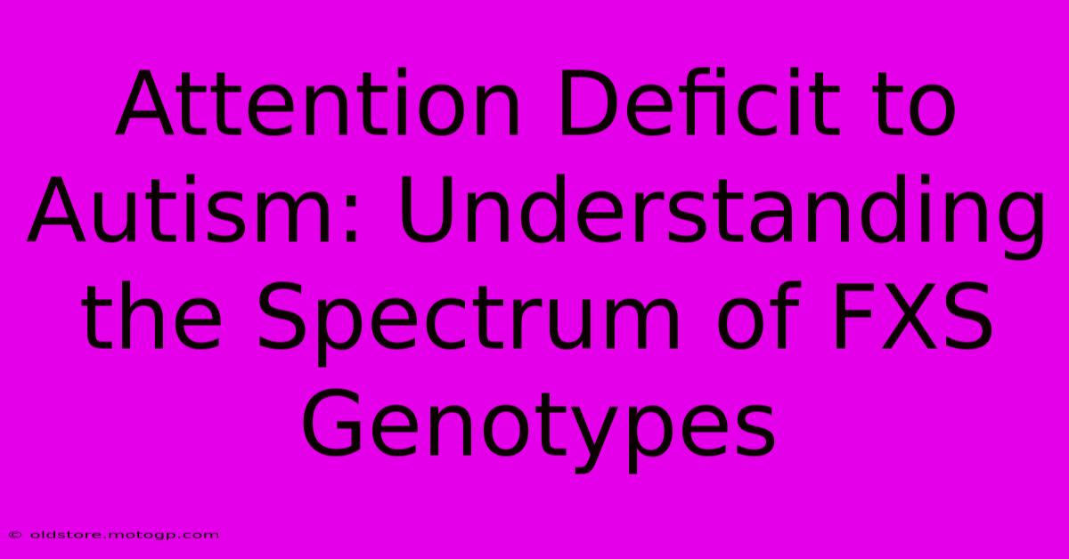 Attention Deficit To Autism: Understanding The Spectrum Of FXS Genotypes