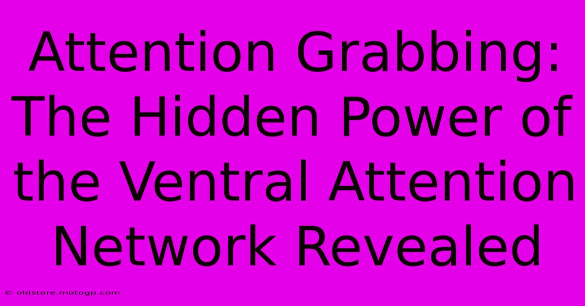 Attention Grabbing: The Hidden Power Of The Ventral Attention Network Revealed