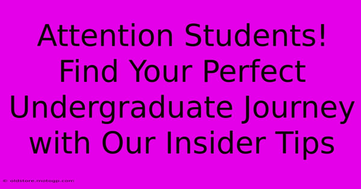 Attention Students! Find Your Perfect Undergraduate Journey With Our Insider Tips