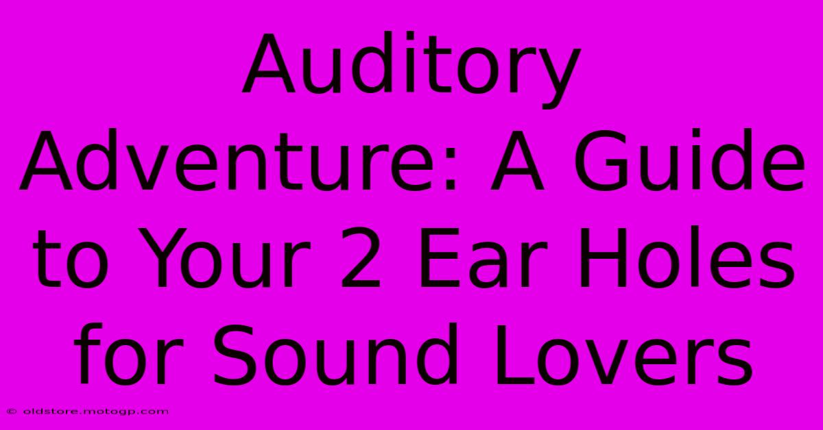 Auditory Adventure: A Guide To Your 2 Ear Holes For Sound Lovers