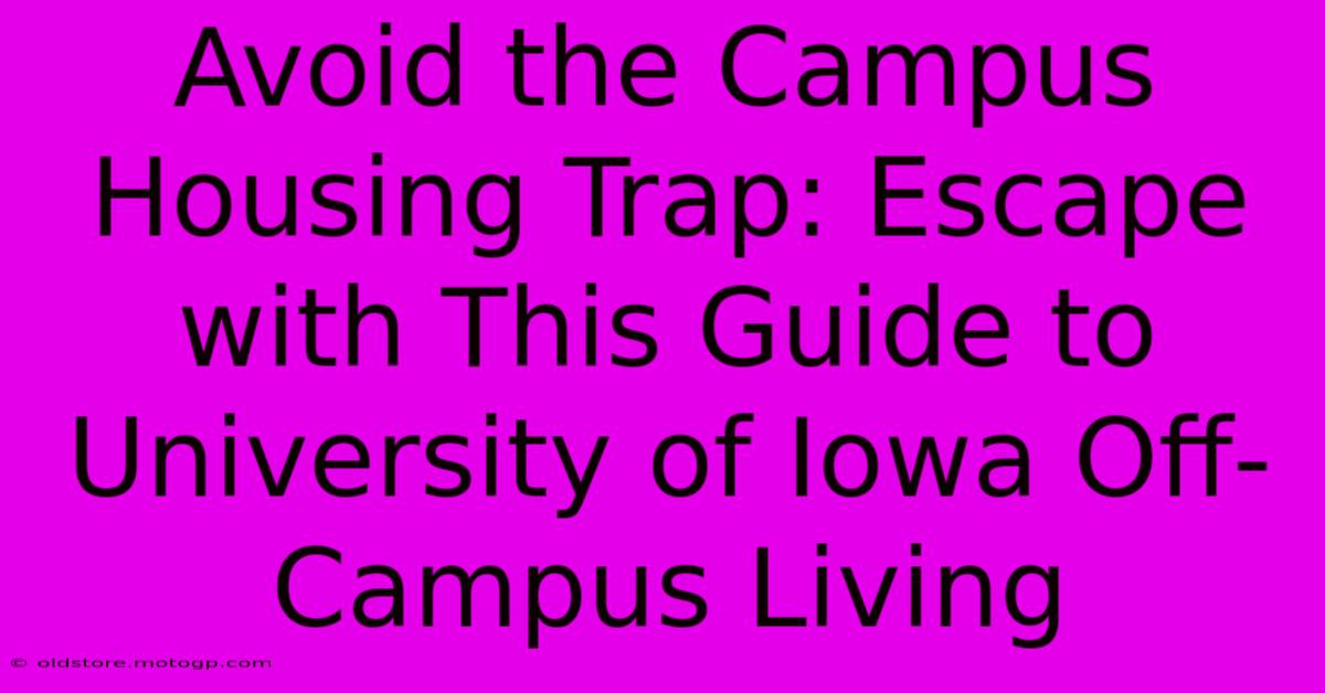 Avoid The Campus Housing Trap: Escape With This Guide To University Of Iowa Off-Campus Living