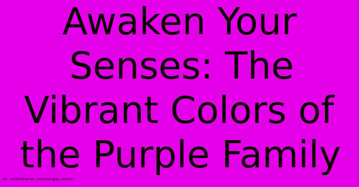 Awaken Your Senses: The Vibrant Colors Of The Purple Family