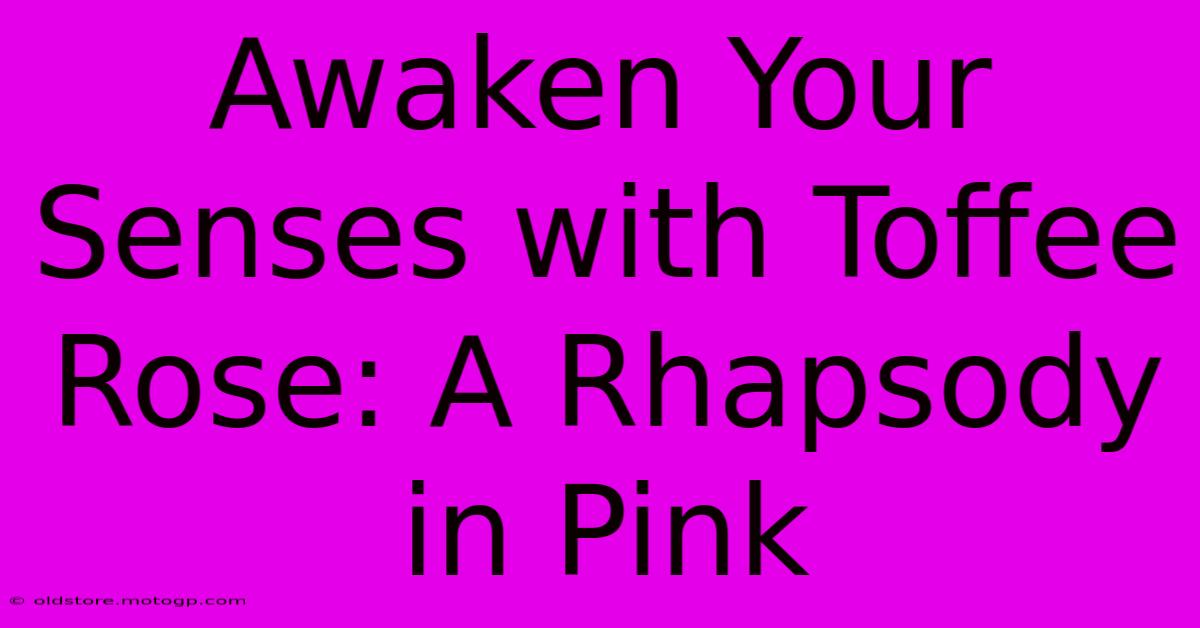 Awaken Your Senses With Toffee Rose: A Rhapsody In Pink