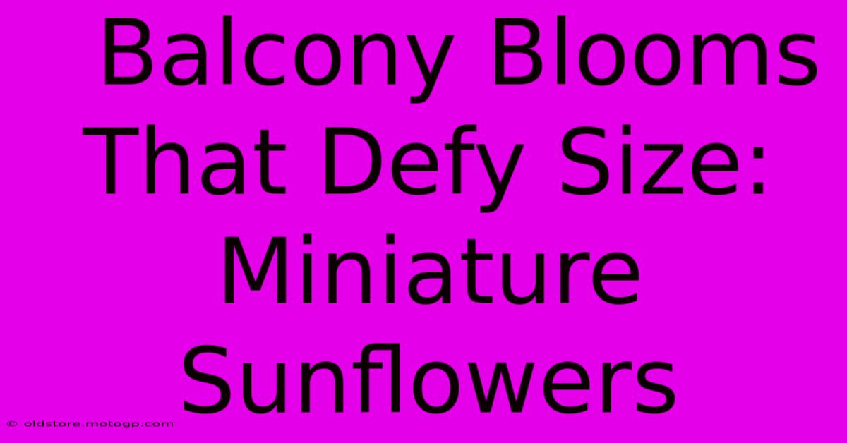  Balcony Blooms That Defy Size: Miniature Sunflowers