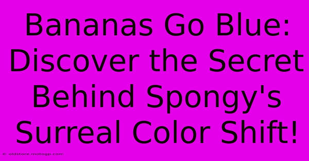 Bananas Go Blue: Discover The Secret Behind Spongy's Surreal Color Shift!