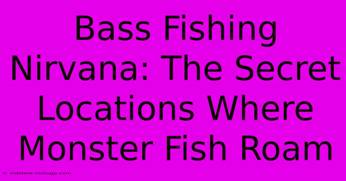 Bass Fishing Nirvana: The Secret Locations Where Monster Fish Roam