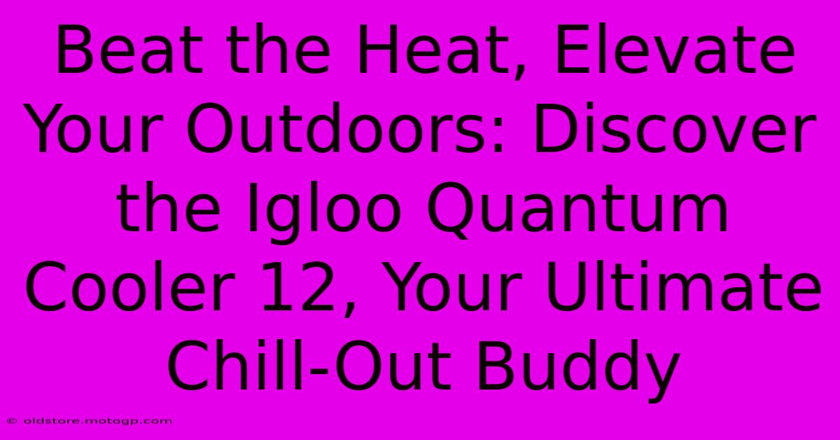 Beat The Heat, Elevate Your Outdoors: Discover The Igloo Quantum Cooler 12, Your Ultimate Chill-Out Buddy