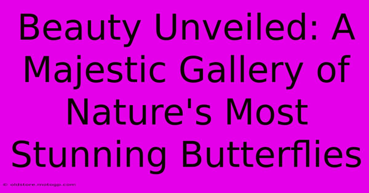 Beauty Unveiled: A Majestic Gallery Of Nature's Most Stunning Butterflies