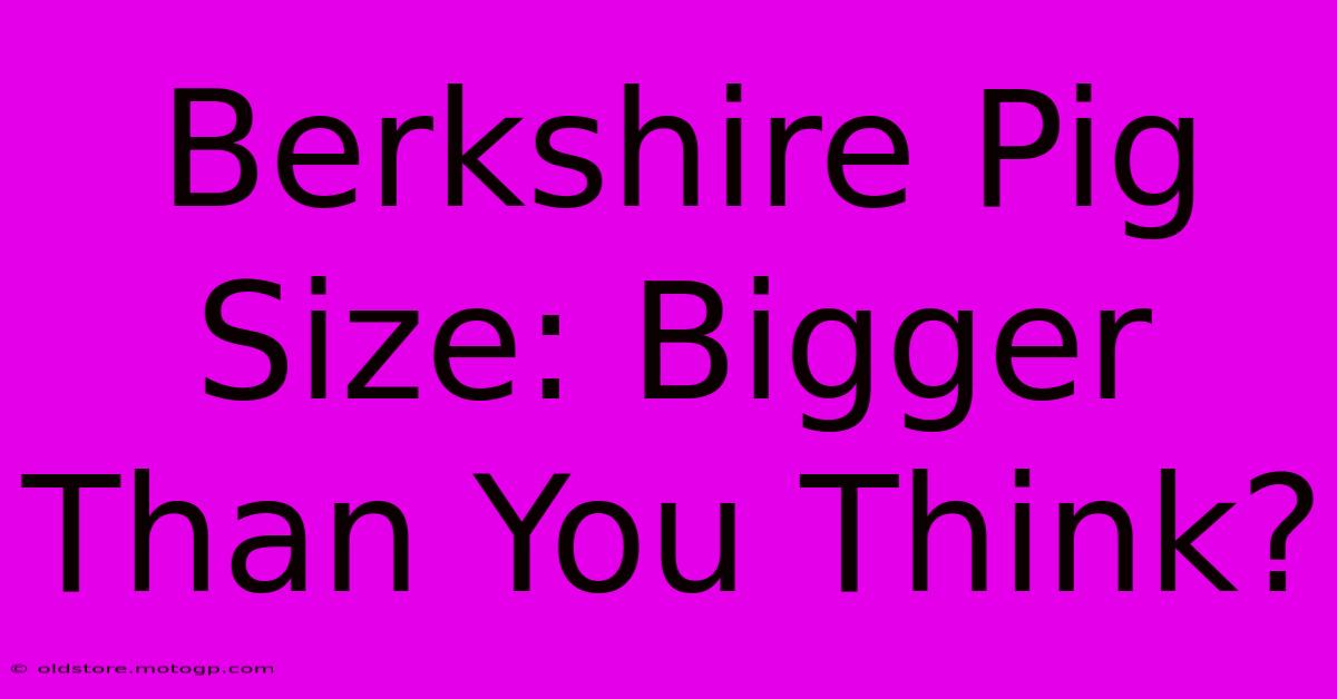 Berkshire Pig Size: Bigger Than You Think?